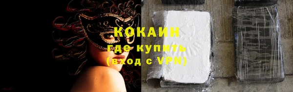 дмт Осташков