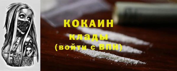 дмт Осташков