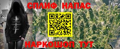 apvp Дубна