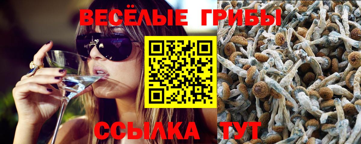 Псилоцибиновые грибы мухоморы  Галлюциногенные грибы ЛСД  Кропоткин  Вход с VPN 